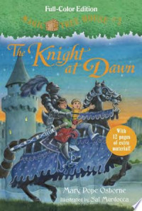 Image of The Knight at dawn